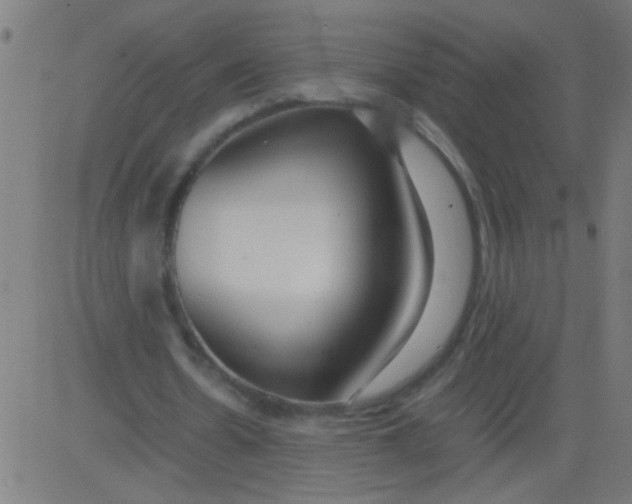 X0000081290530200702012246