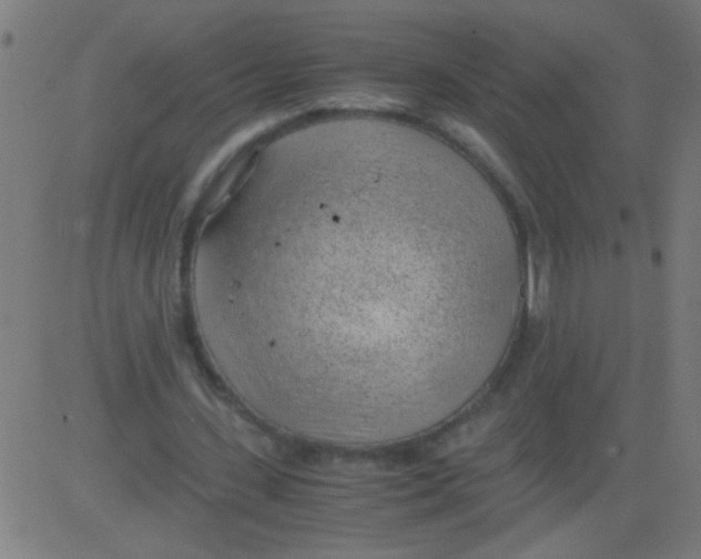 X0000081290531200702012246