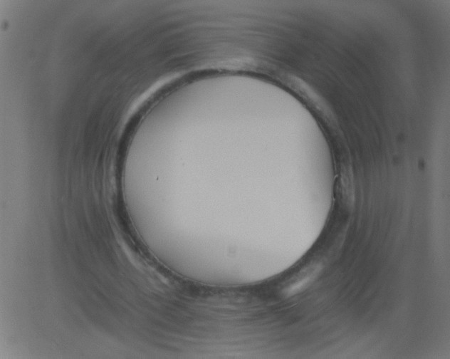 X0000081290532200702012246