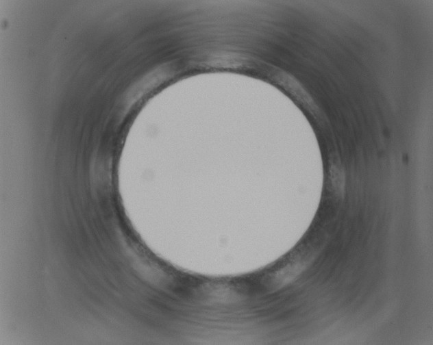 X0000081290534200702012246