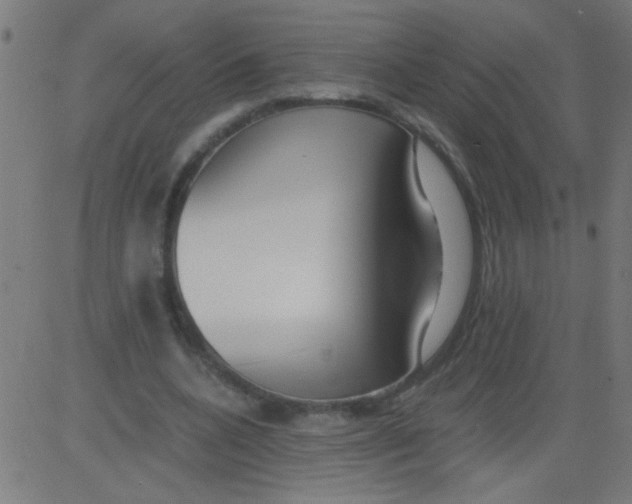 X0000081290536200702012246