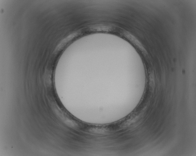 X0000081290537200702012246