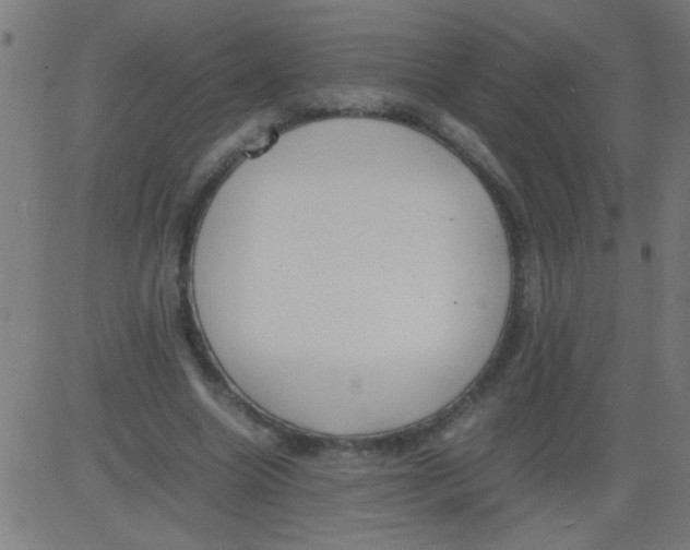 X0000081290538200702012247