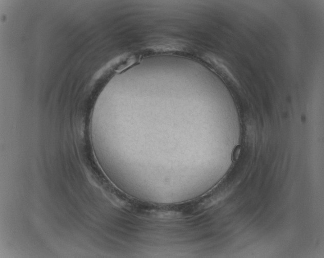 X0000081290539200702012247