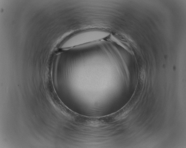 X0000081290540200702012247