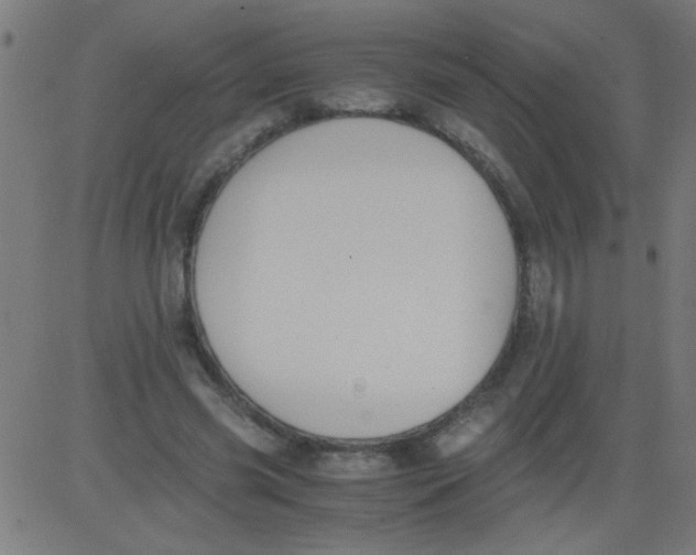 X0000081290541200702012247