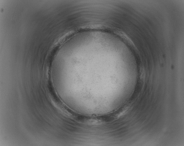 X0000081290542200702012247