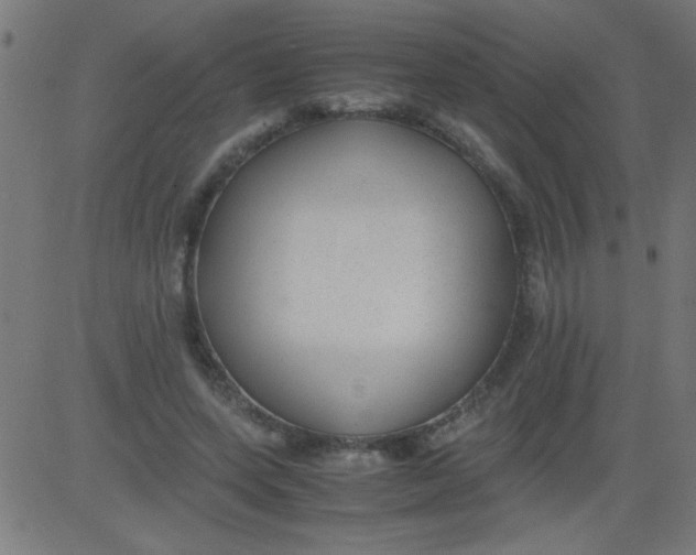 X0000081290543200702012247