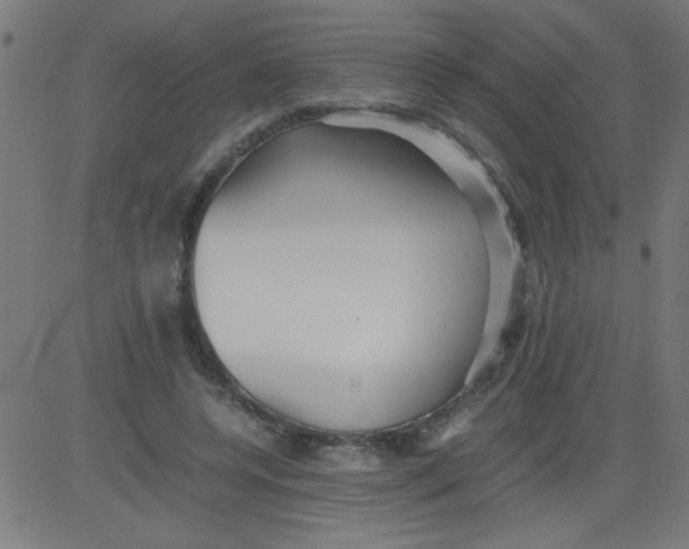 X0000081290544200702012247