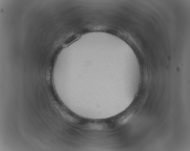 X0000081290545200702012247