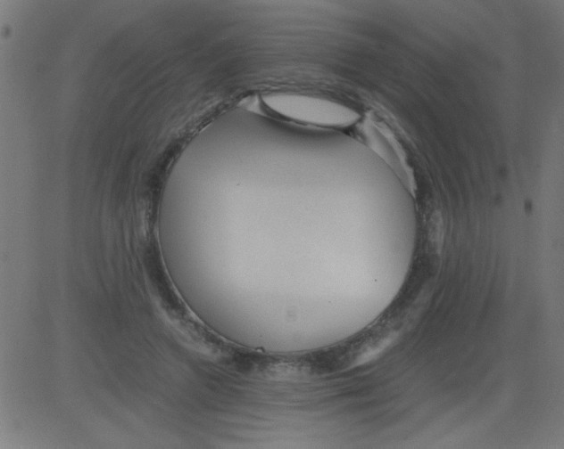 X0000081290546200702012247