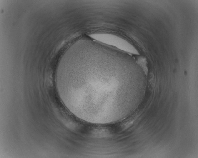 X0000081290547200702012247