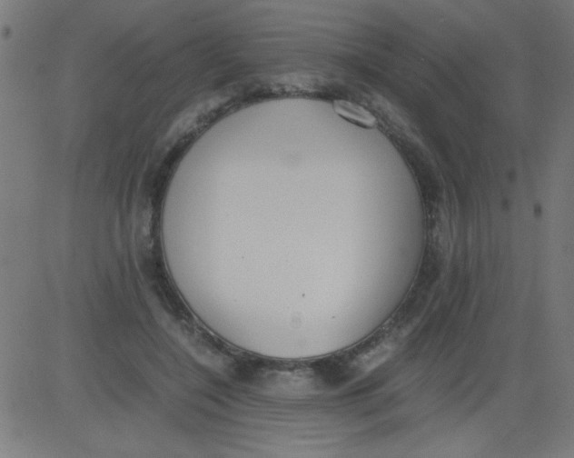 X0000081290548200702012247