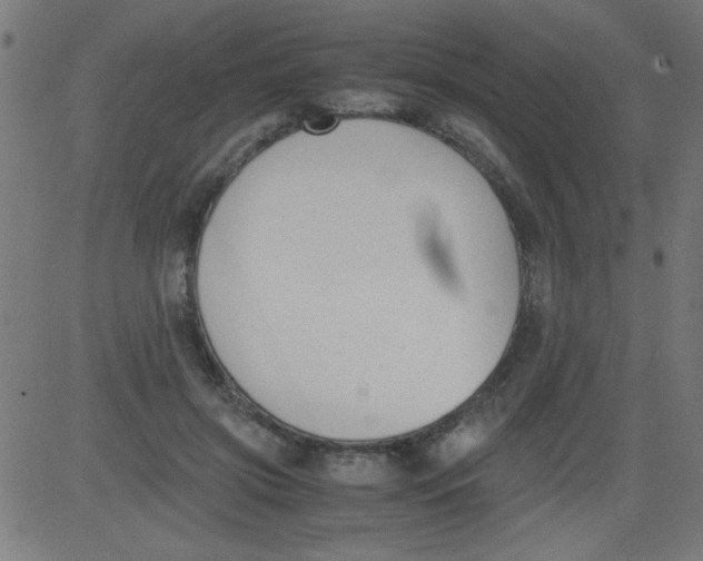 X0000081290549200702012247