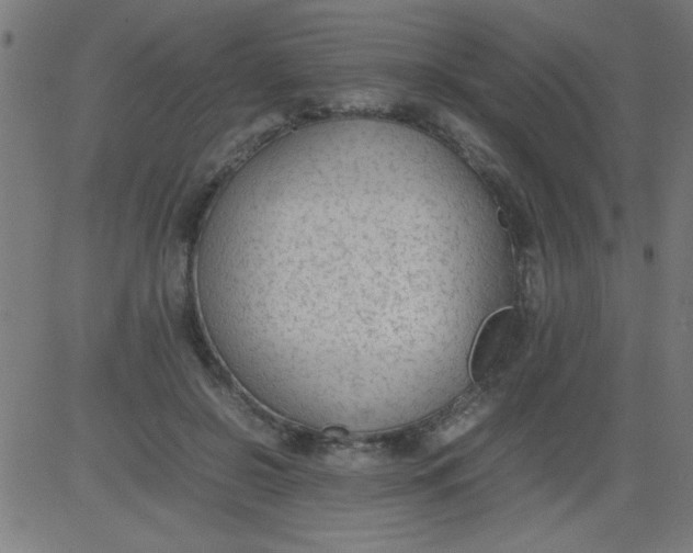 X0000081290550200702012247