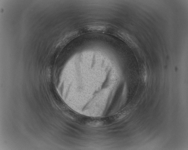 X0000081290551200702012247