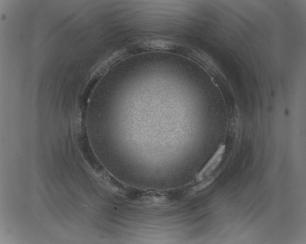 X0000081290552200702012247