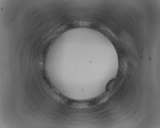 X0000081290553200702012247