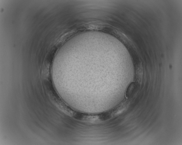 X0000081290554200702012247