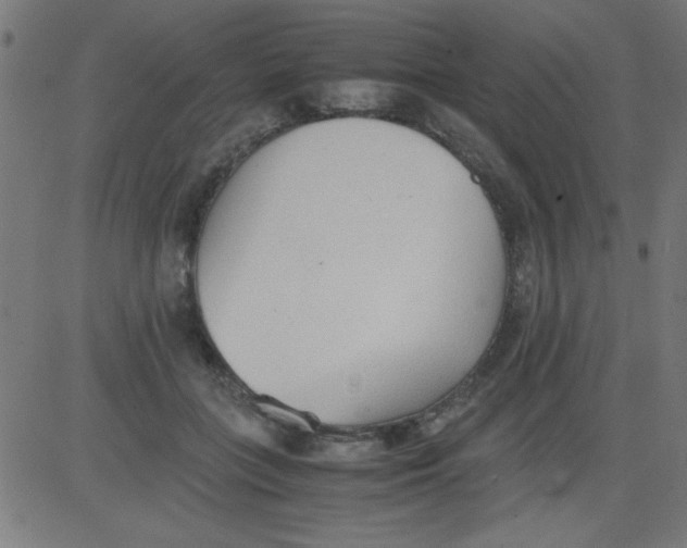 X0000081290555200702012247