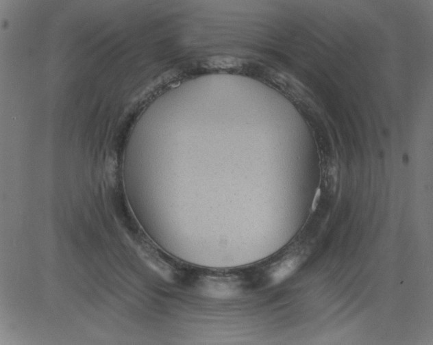 X0000081290556200702012247