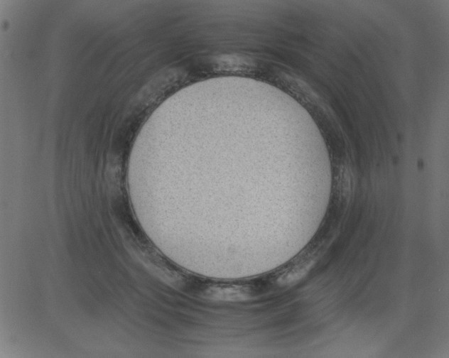 X0000081290557200702012247