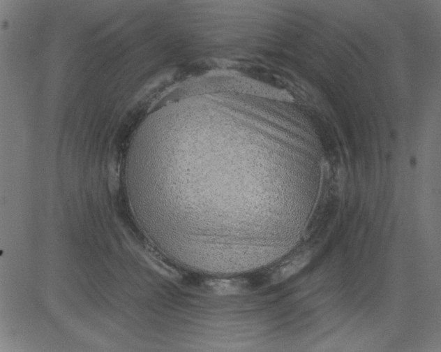 X0000081290558200702012247