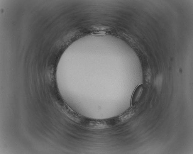 X0000081290559200702012247