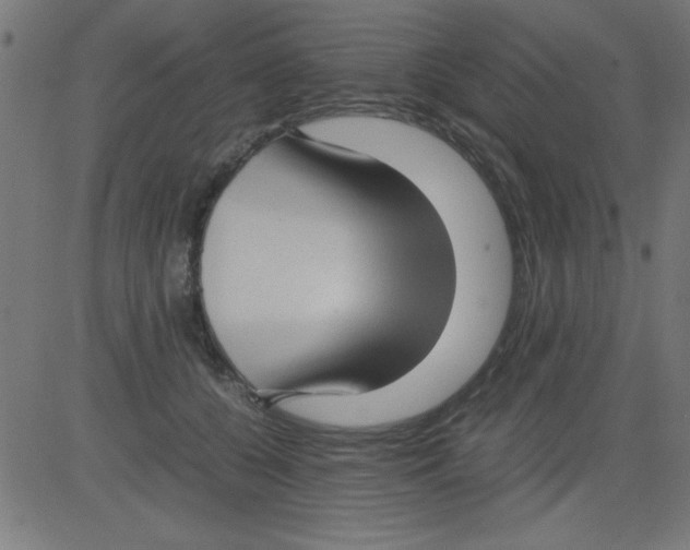 X0000081290560200702012247