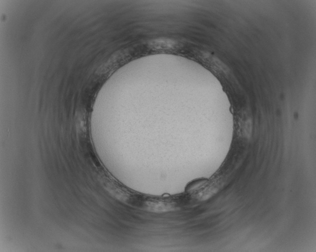 X0000081290561200702012247