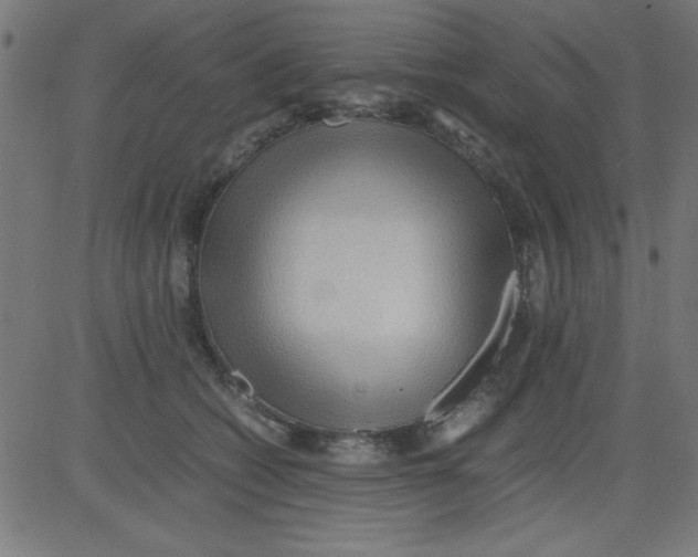 X0000081290562200702012247