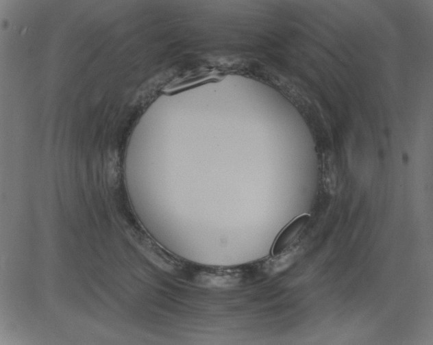 X0000081290563200702012247