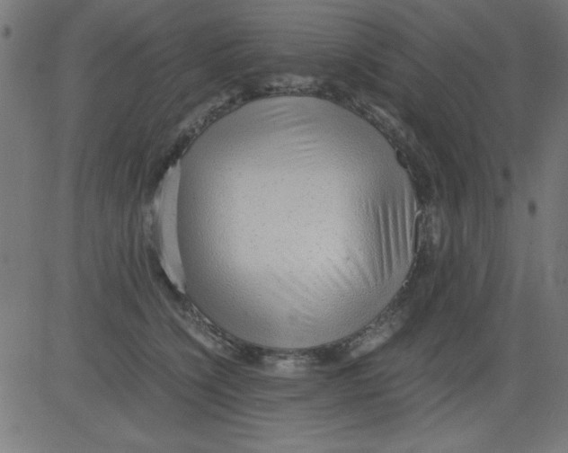 X0000081290564200702012247