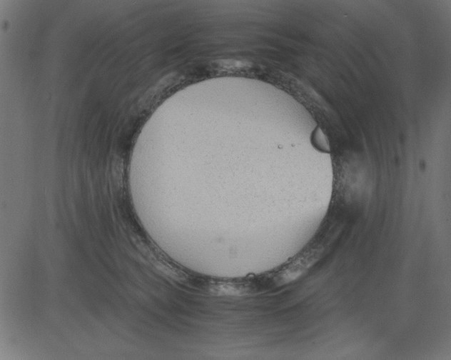 X0000081290565200702012247