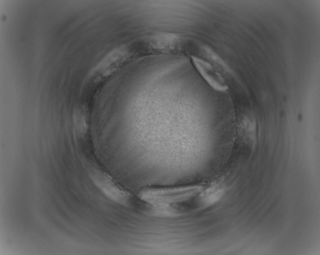 X0000081290566200702012247