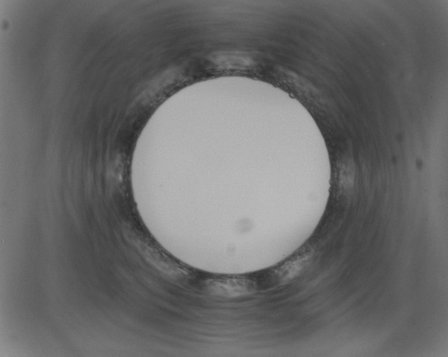 X0000081290567200702012247