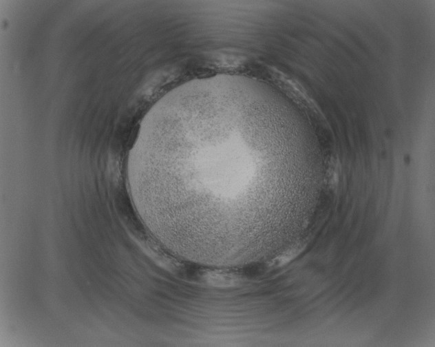 X0000081290568200702012247