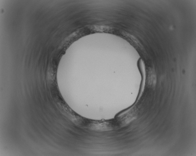 X0000081290569200702012247