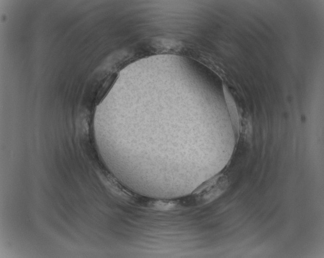 X0000081290570200702012247