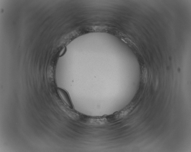 X0000081290571200702012247