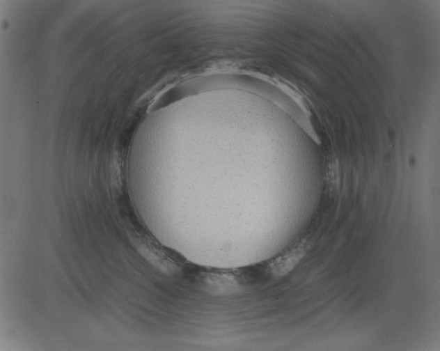 X0000081290572200702012247