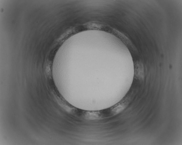 X0000081290573200702012247