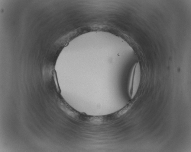 X0000081290574200702012247