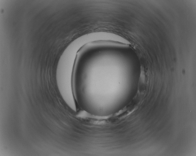 X0000081290575200702012247