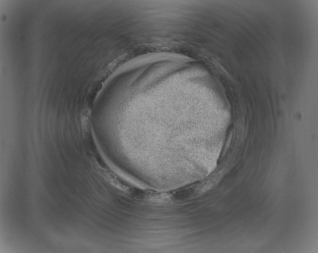 X0000081290576200702012247