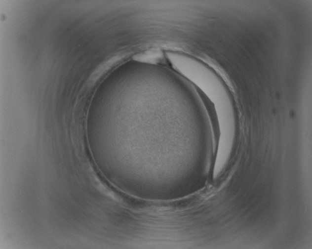 X0000081290577200702012246