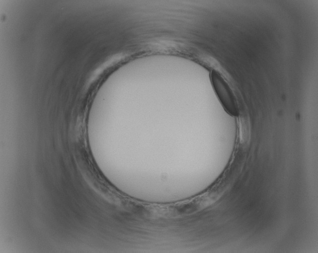 X0000081290579200702012246