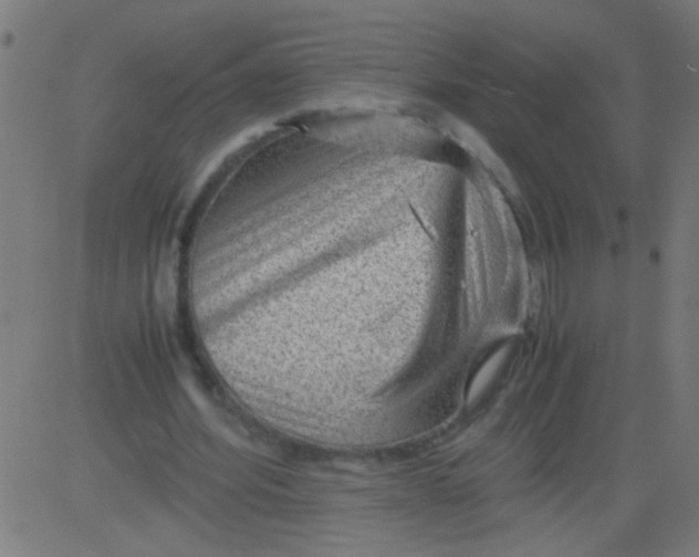 X0000081290580200702012246