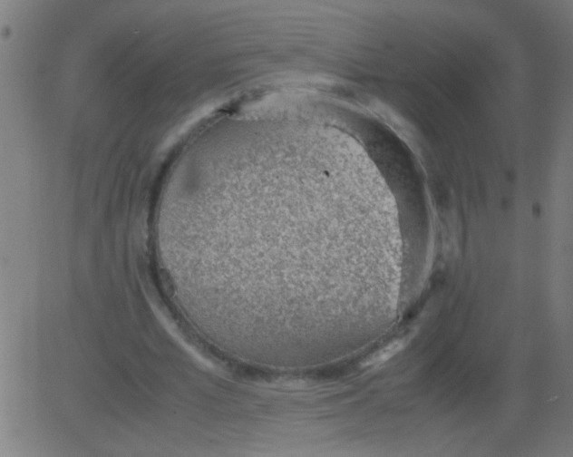 X0000081290581200702012246