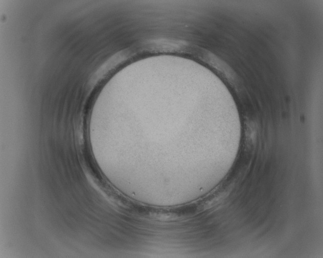 X0000081290582200702012246